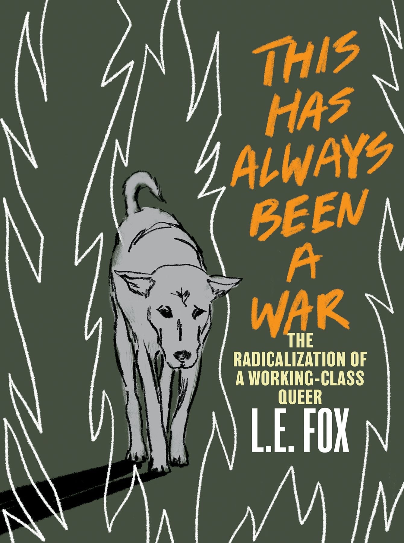 Book cover image for This Has Always Been a War ISBN: 9781551528779
